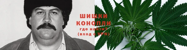 мдпв Богородск