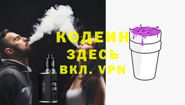 мдпв Богородск