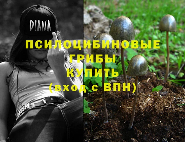 хмурый Богданович
