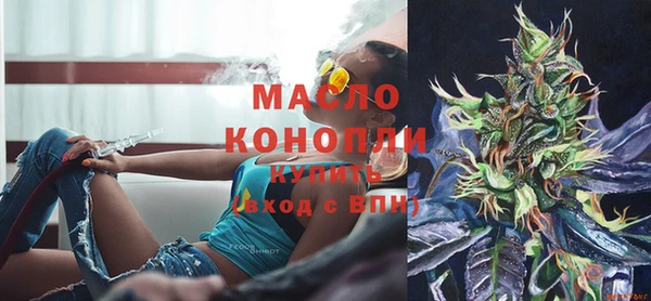 мдпв Богородск