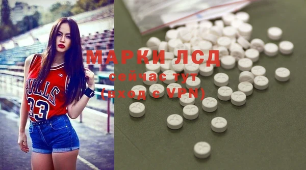 мдпв Богородск